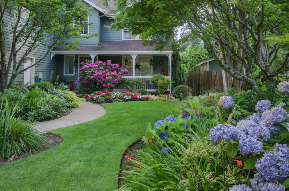 The Essentials of Landscaping: A Beginner’s Guide