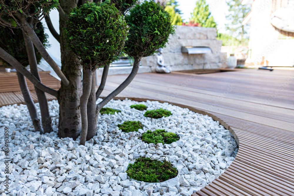 Sustainable Landscaping. Eco-Friendly Practices for Your Yard